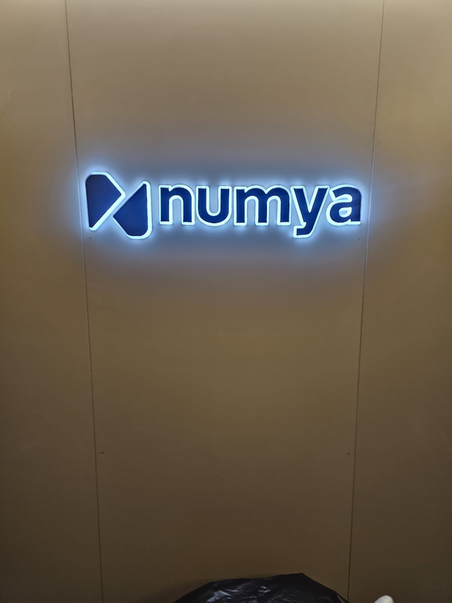 NUMYA